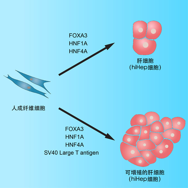 634f7167c96b5.jpg