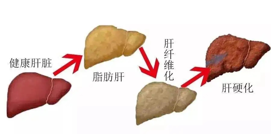 64c33749c4a4f.jpg