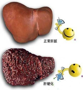 650d048294408.png