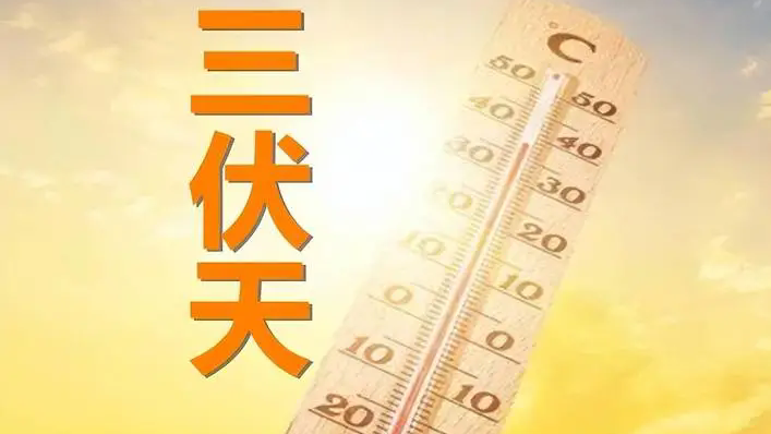 6699e1662d563.png