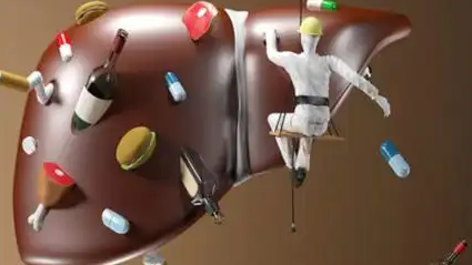 688c7bddb4456.png